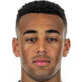 Tyler Adams