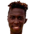D. Palacio