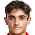 Manuel Botic