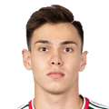 Artem Borovitskiy