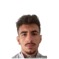 Stefan Dimitrijevic