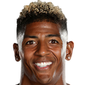 Patrick van Aanholt