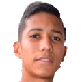 F. Vargas