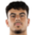 Diogo Amaro