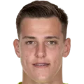 Radek Vitek