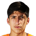 F. Cornejo