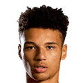 Lee Angol