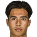 Ronan Plujimen