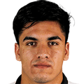 N. Orellana