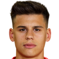 Dusan Lazarevic