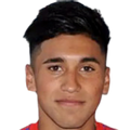 M. Briceño