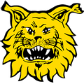 Ilves II