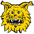 Ilves
