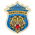 Liaoning Shenyang Urban