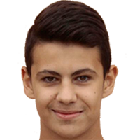Đ. Salčin