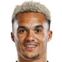Antonee Robinson