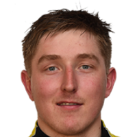 Ole Lauvli