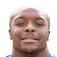 Adebayo Akinfenwa