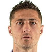 Dino Djulbic