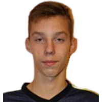 Vladimirs Hudozitkins