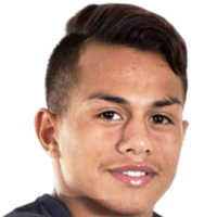 N. Barrios
