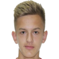 Anton Dudik