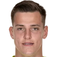 Radek Vitek
