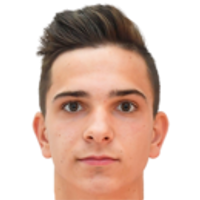Viktor Kanizaj