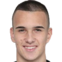 Luka Cvetićanin