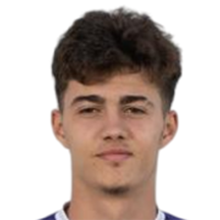 Jovan Mituljikic