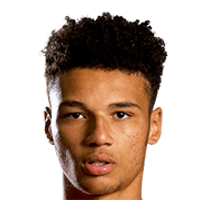 Lee Angol