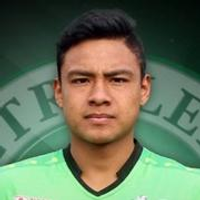 Luis Flores