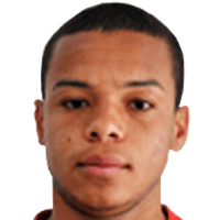 Harrison Cardoso
