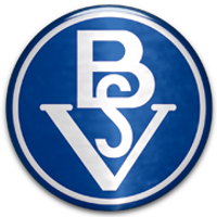 Bremer SV