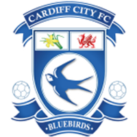 Cardiff City U21 Squad Stats, Transfer Values (ETV) & Contract Details