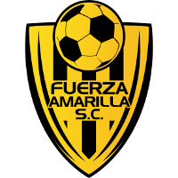 Fuerza Amarilla