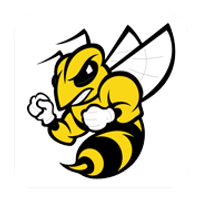 Randolph-Macon Yellow Jackets