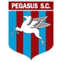 Morwell Pegasus