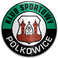 Gornik Polkowice