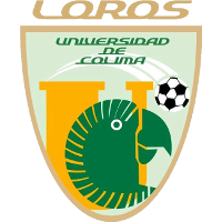 Loros Universidad