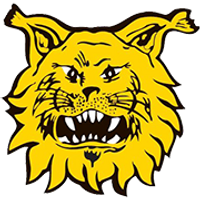 Ilves