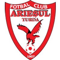 Ariesul Turda