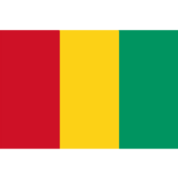 Guinea U17