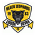 Black Leopards