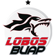 Lobos BUAP