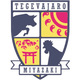 Tegevajaro