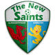 The New Saints