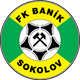 Banik