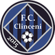 Academica Clinceni