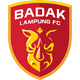 Badak Lampung
